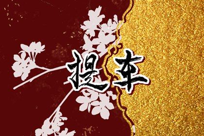 2025年05月24日是否属于提车吉日？ 今日买新车好吗