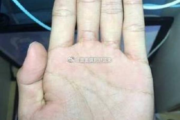 探索三世财运的深刻智慧