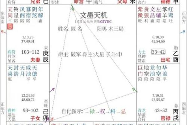 紫微斗数中的星座组合与命运走势