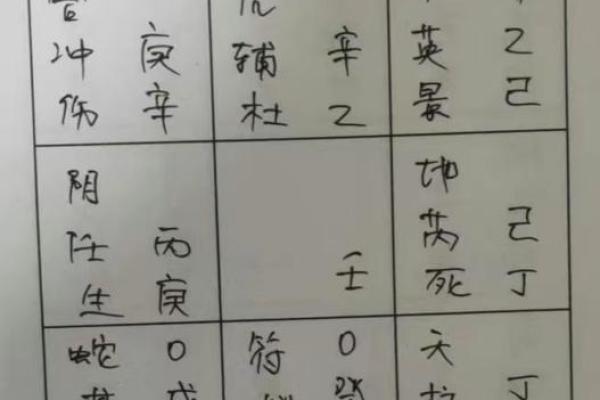 专业奇门排盘程序助力精准预测与决策