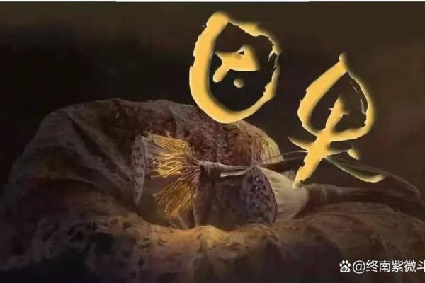 紫微斗数中的时空与命运交错