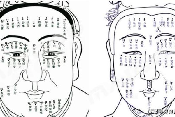 男士痣相分析：你脸上的痣预示了什么运势