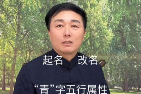 保字在五行中属于什么属性解析