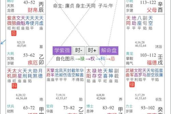 了解紫微斗数命盘中的四化星