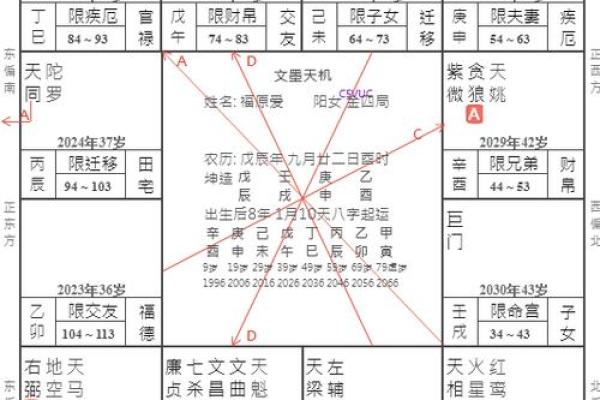 紫微排盘各宫分析，揭开命运的秘密