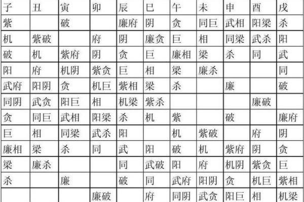 紫微排盘各宫分析，揭开命运的秘密