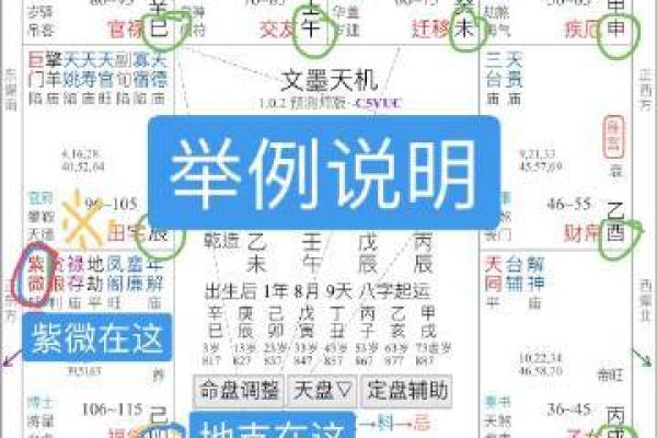 如何使用元享利贞奇门进行精准排盘分析