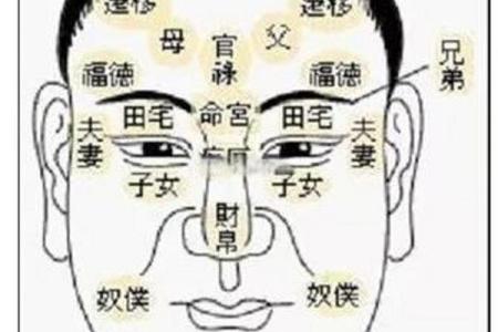 八字免费算命：如何通过八字解读你的未来运势