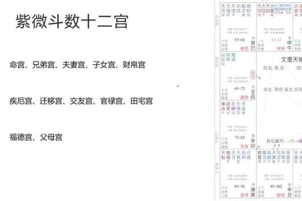 紫微斗数中天干庚的命理解析与影响