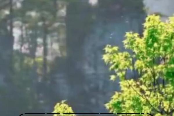 紫微斗数中天干庚的命理解析与影响