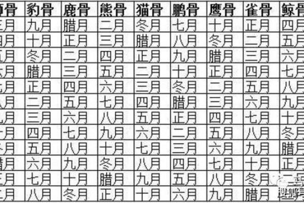 八字骨图示：如何通过骨骼结构识别潜在问题