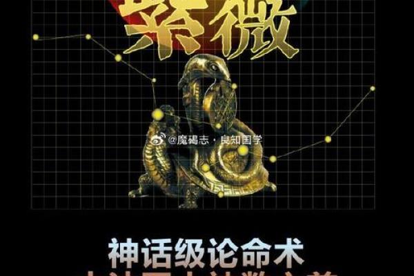紫微斗数中的天魁星与事业运