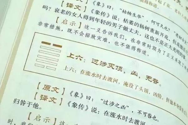 六爻占卜中的爻辞如何影响卦象解析