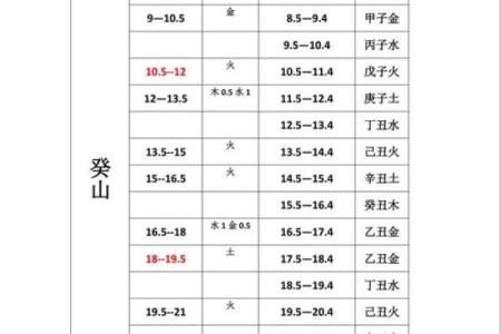 八字骨图示：如何通过骨骼结构识别潜在问题