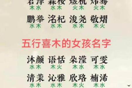 火命男宝宝命名技巧与推荐名字大全