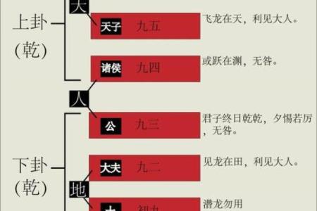 六爻占卜中的爻辞如何影响卦象解析