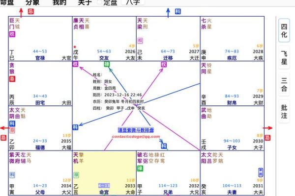 紫微斗数中的四化星与性格分析