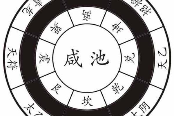 飞宫小奇门排盘软件：精准预测助力决策分析