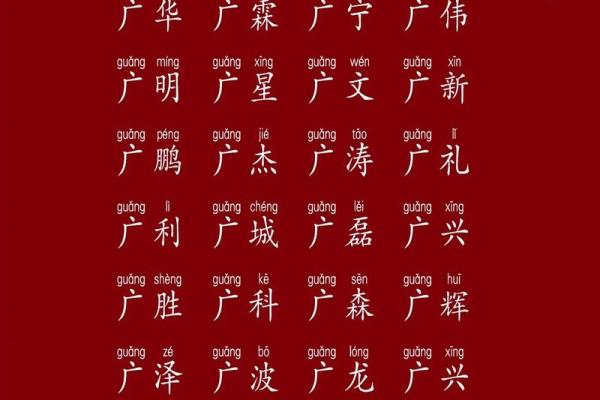 鸡年出生晋姓宝宝名字选择指南