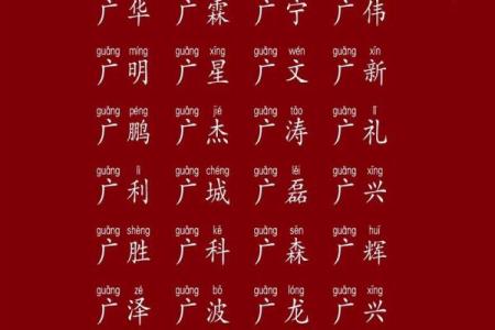 鸡年出生晋姓宝宝名字选择指南