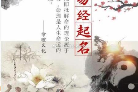 六爻占卜的应用实例：解答人生大问题