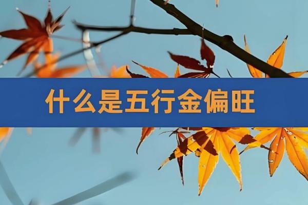 什么样的八字属于金命解析