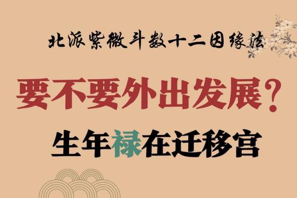 如何根据紫微斗数找到适合的生活节奏