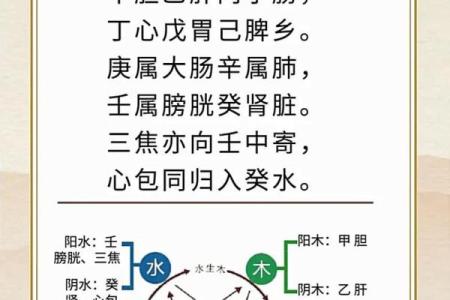 天干歌诀全解：记忆法与应用技巧