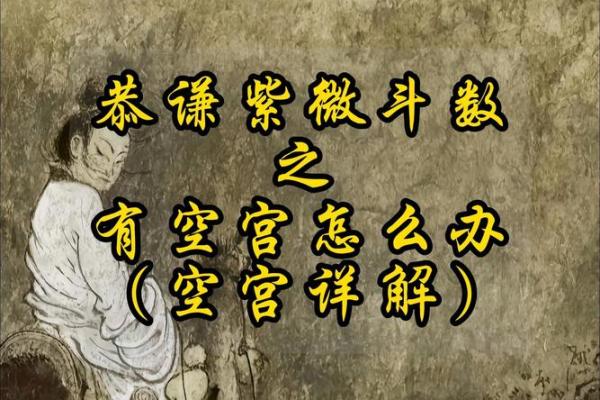 紫微斗数命盘中的天月二德