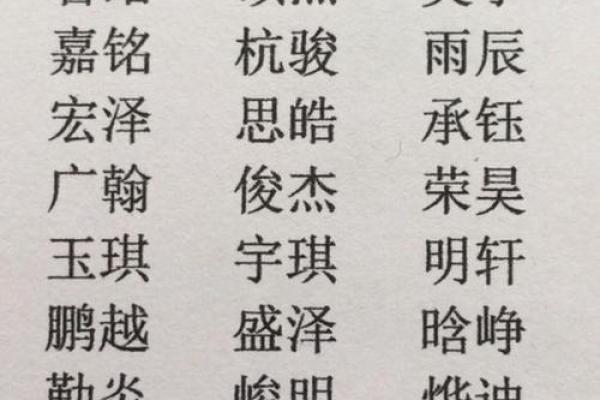 狗年出生男宝宝名字精选
