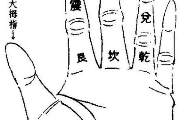 六爻占卜与手相的结合分析