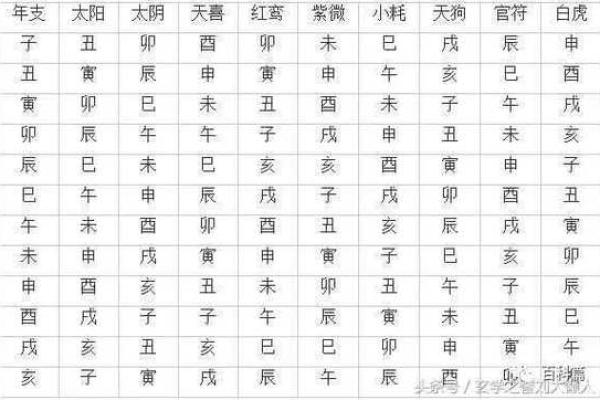 八字命理中的八字结构与个人命运解析
