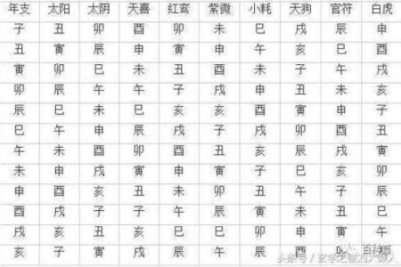 八字命理中的八字结构与个人命运解析