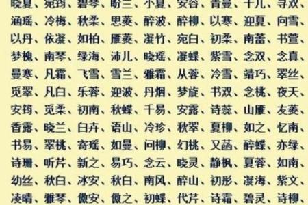 晋姓鸡年宝宝起名建议：打造与众不同的名字风格