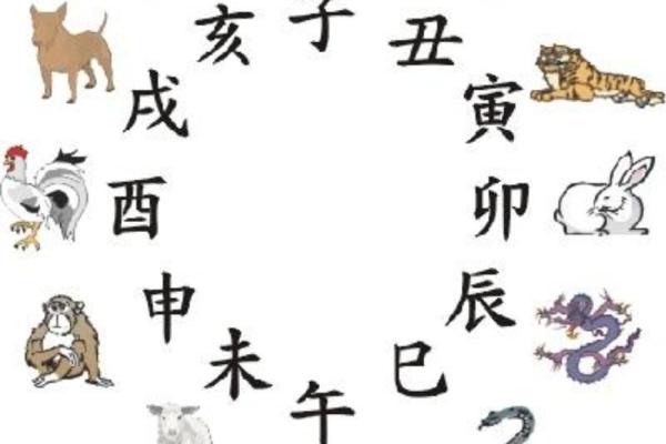 天干乙故在命理学中的应用与解读