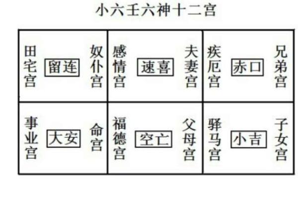 六壬排盘如何影响未来一年的运势