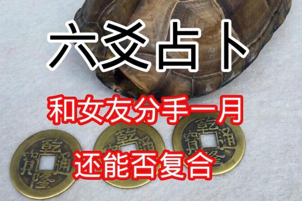 六爻占卜的应用范围与限制