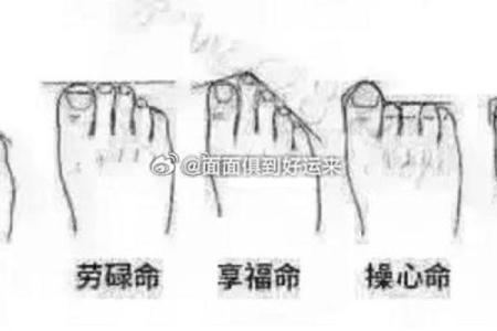脚型与命运：哪些特征预示着富贵人生