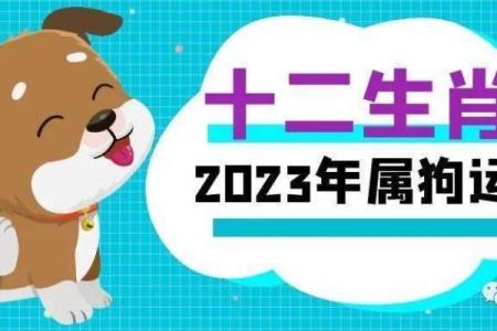 狗年宝宝命名技巧：结合生肖特点打造完美名字