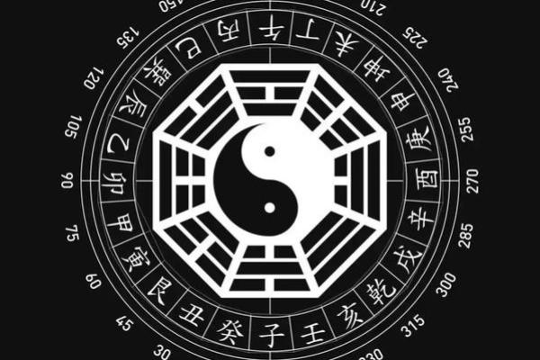 龙隐八字排盘解析与应用技巧