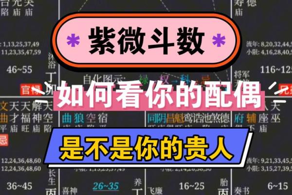 如何利用紫微斗数看人际关系