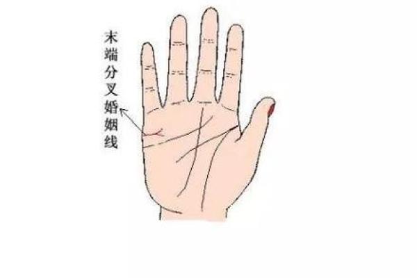 痴情八字解析：如何从命理看出深情与执着