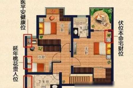 客厅财位的选择对家运的深远影响