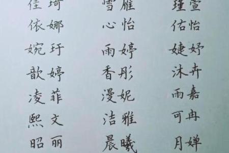 狗年宝宝起名攻略，挑选最适合的名字提升运势