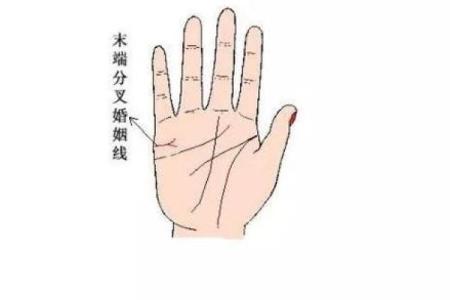 痴情八字解析：如何从命理看出深情与执着
