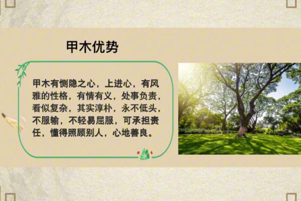 天干甲木的象征意义与命理应用解析