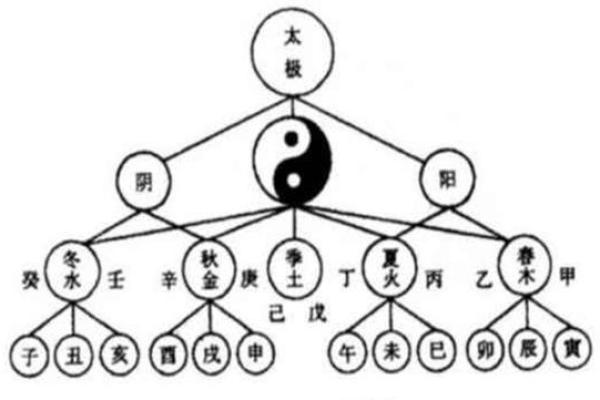 辛年天干的五行属性与传统命理分析