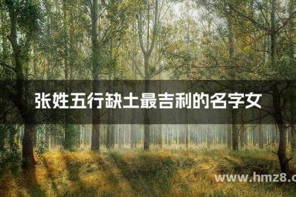 张姓五行属性解析及其命理影响