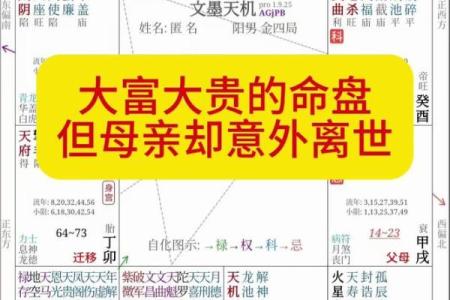 紫微斗数命盘中的月令与人生方向