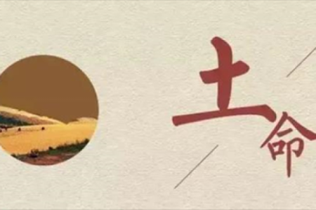 壁上土命的特点与命理解析